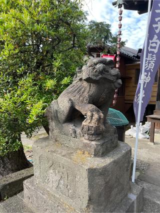 王子白髭神社の参拝記録(⛩️🎠🐢まめ🐢🎠⛩️さん)