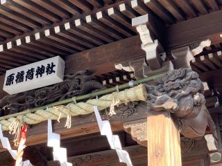 原稲荷神社の参拝記録(shikigami_hさん)