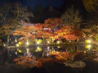 醍醐寺　弁天堂の参拝記録(風祭すぅさん)