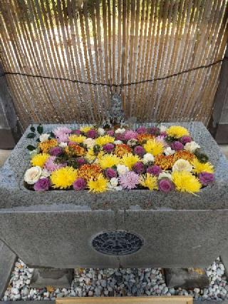 恵比寿神の参拝記録(zx14rさん)