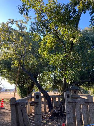 鴨公神社跡の参拝記録(恭子さん)