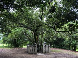 鴨公神社跡の参拝記録(あきちゃんさん)