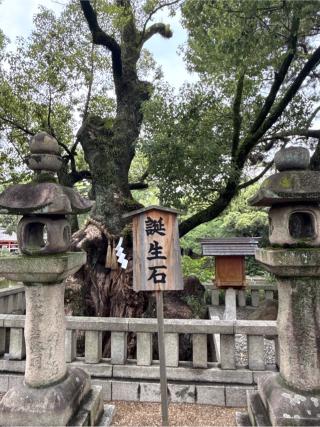 住吉大社（第三本宮）の参拝記録(コットンさん)