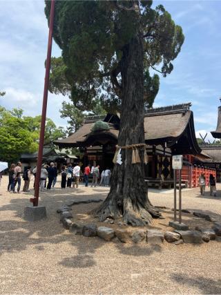 住吉大社（第三本宮）の参拝記録(⛩️🐍🐢まめ🐢🐍⛩️さん)