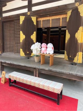 住吉大社（第二本宮）の参拝記録(⛩️🐍🐢まめ🐢🐍⛩️さん)