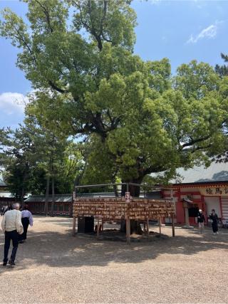 住吉大社（第二本宮）の参拝記録(⛩️🐍🐢まめ🐢🐍⛩️さん)