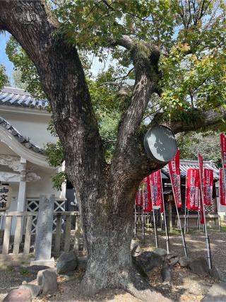 大神宮(住吉大社境内社)の参拝記録(⛩️🐉🐢まめ🐢🐉⛩️さん)