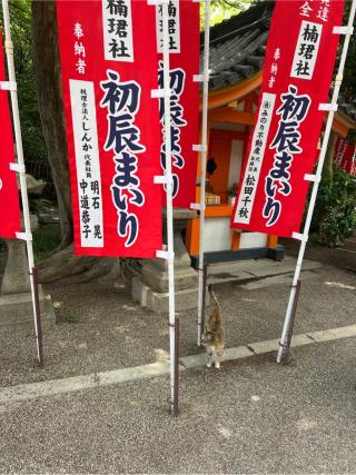 立聞社(住吉大社末社)の参拝記録(⛩️🐍🐢まめ🐢🐍⛩️さん)