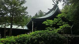 熊箇原八幡神社の参拝記録( いなりんさん)