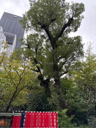 金刀比羅神社（難波神社末社）の参拝記録(⛩️🎠🐢まめ🐢🎠⛩️さん)