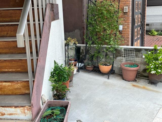 大阪府東大阪市稲田本町3-2-23 地蔵尊の写真2