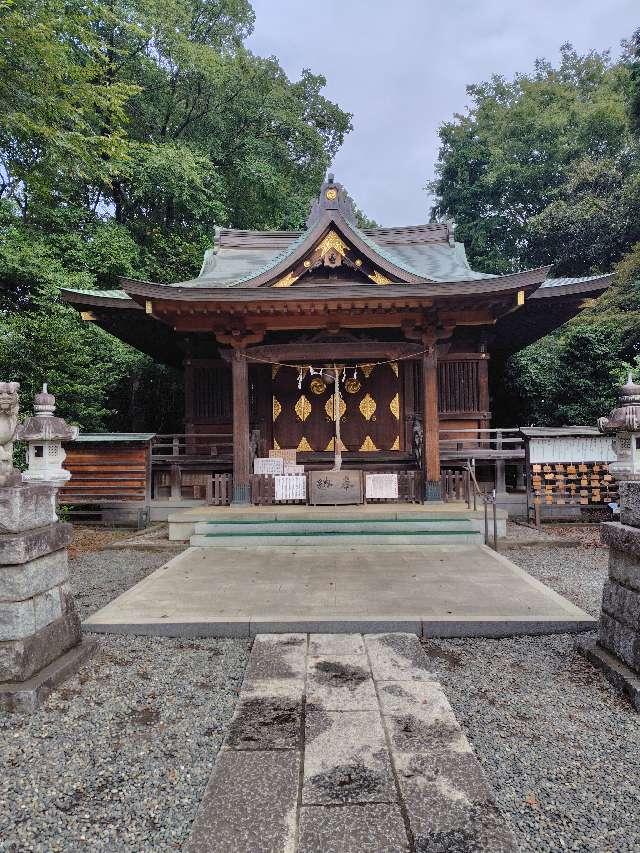 埼玉県上尾市二ツ宮８６６ 氷川神社の写真3