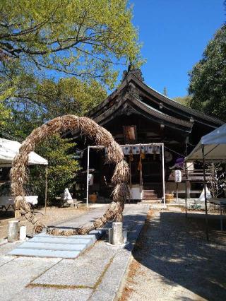 三原八幡宮の参拝記録(くろろさん)