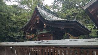 大雷神社の参拝記録(ステイさん)