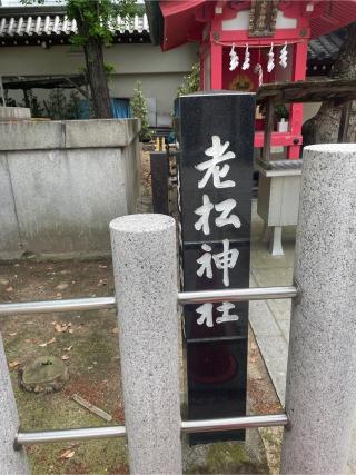 老松神社(大阪天満宮 境内社)の参拝記録(サチサチさん)