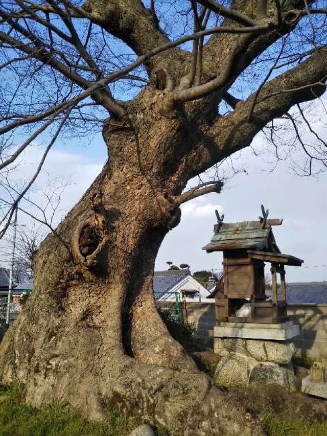 奈良県御所市名柄 西の宮の写真1