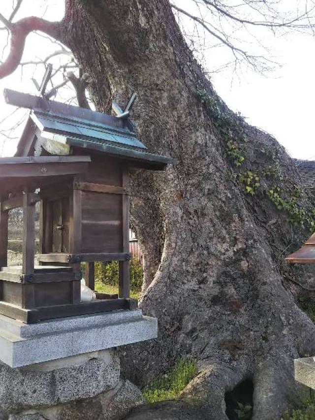 奈良県御所市名柄 西の宮の写真2