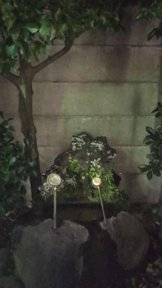 上赤塚氷川神社の参拝記録(くろさん)