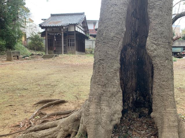 埼玉県和光市白子2-28-17 牛蒡八雲神社の写真1