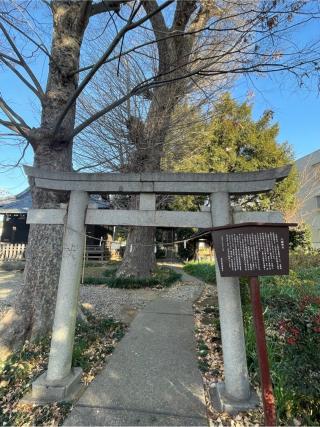 赤塚八幡神社の参拝記録(ハボタンはケールさん)