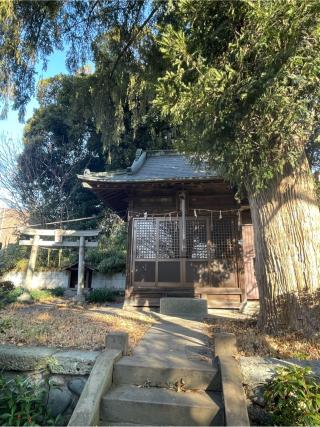 赤塚八幡神社の参拝記録(ハボタンはケールさん)