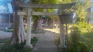 赤塚八幡神社の参拝記録(まっちゃんさん)