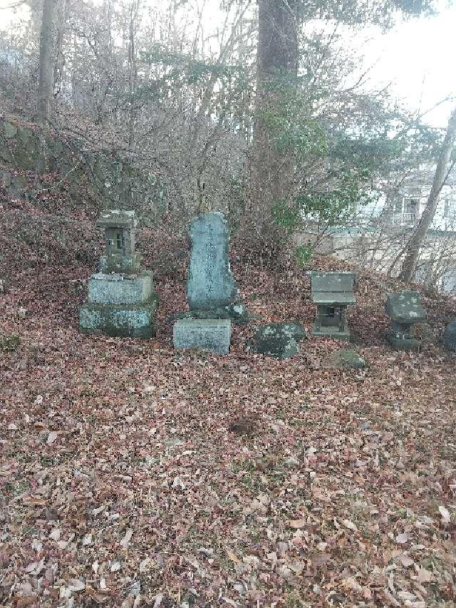 群馬県渋川市伊香保町伊香保560-12 秋葉神社の写真2