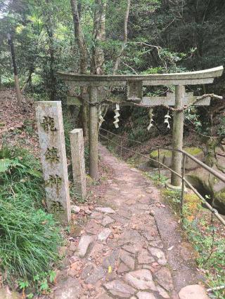 龍鎮神社の参拝記録(佑佳さん)