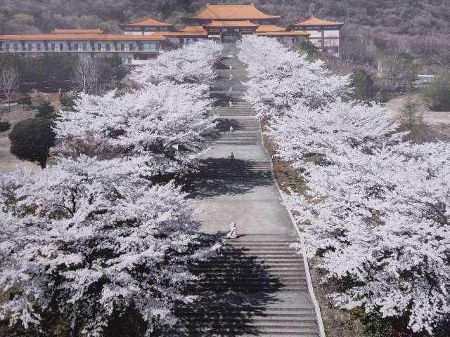 佛光山 法水寺の参拝記録4