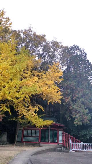 紅石稲荷神社の参拝記録(まほろばさん)