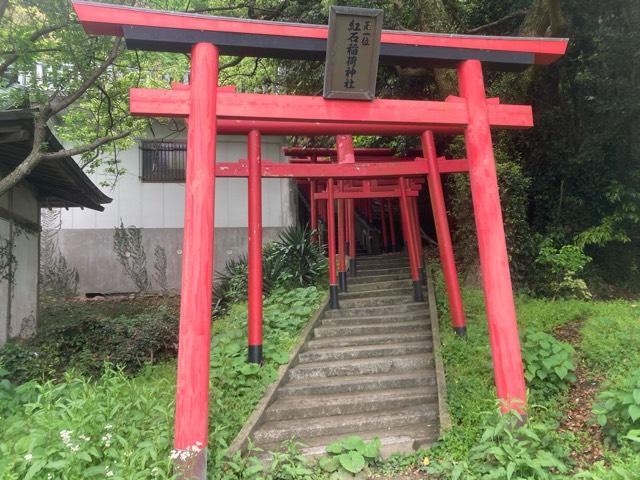 紅石稲荷神社の参拝記録5