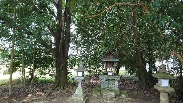 龍神社 (川原寺跡)の参拝記録3
