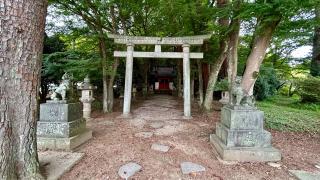 千松神社の参拝記録(金猿さん)