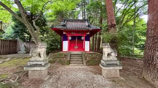 千松神社の参拝記録(金猿さん)