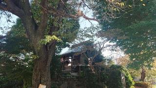 田子山御嶽神社の参拝記録(thonglor17さん)