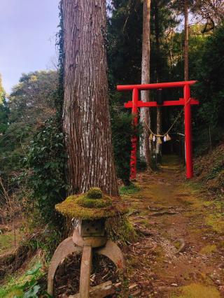 狭上稲荷神社の参拝記録( 14th moonさん)