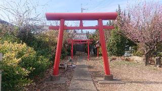 下井戸稲荷神社の参拝記録(ロビンさん)