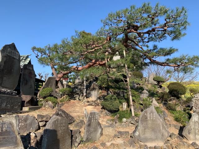 御嶽神社の参拝記録7