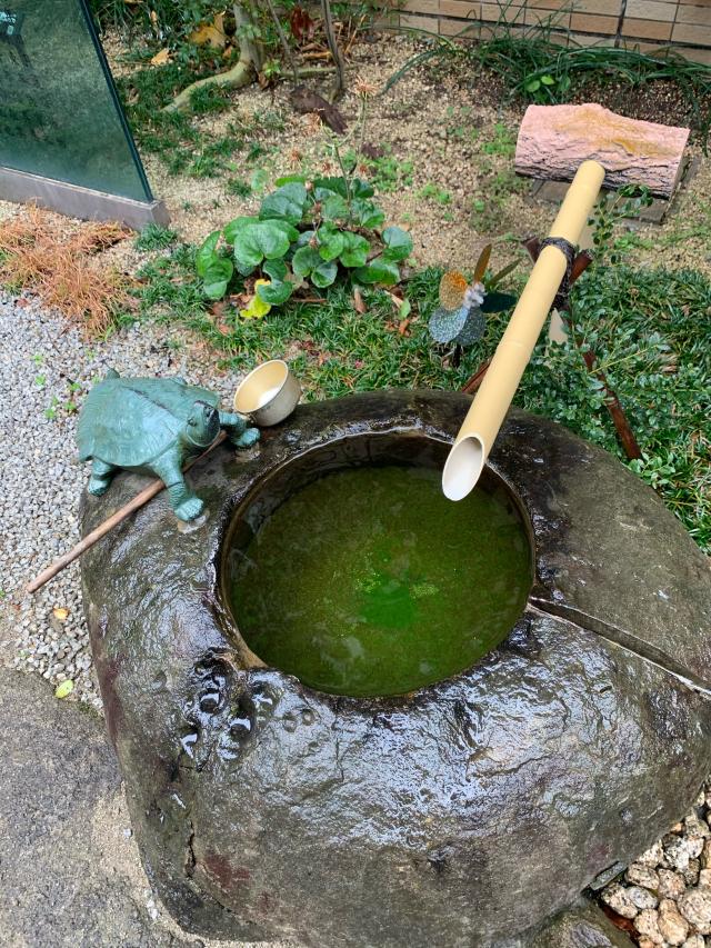 亀井戸水神社の参拝記録8