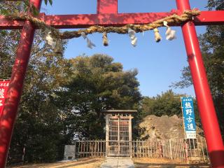 稲葉根社(糸我稲荷神社元宮)の参拝記録(じゃすてぃさん)