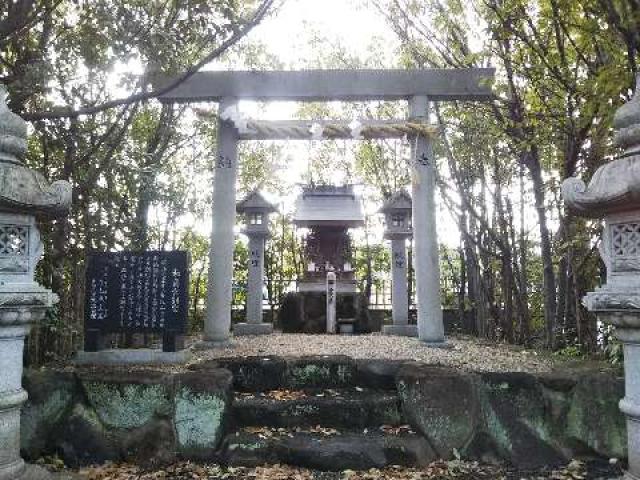 大阪府富田林市栗ヶ池2969-5 龍神社 (和爾宮別宮)の写真1