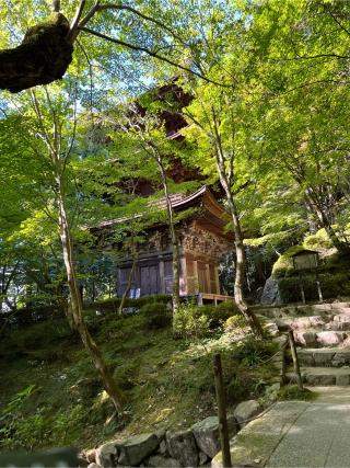 金剛輪寺　三重塔の参拝記録(あまぞんさん)