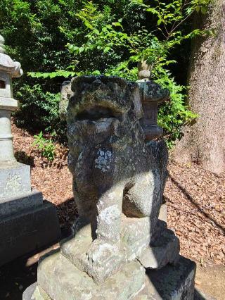 吉田大神宮の参拝記録(風祭すぅさん)