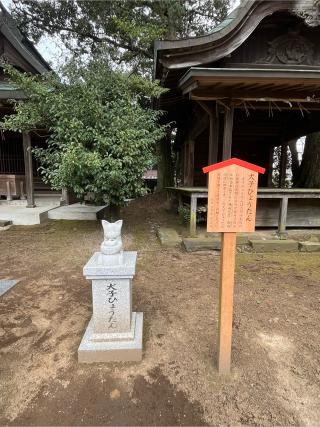 八坂神社の参拝記録(みんきちさん)