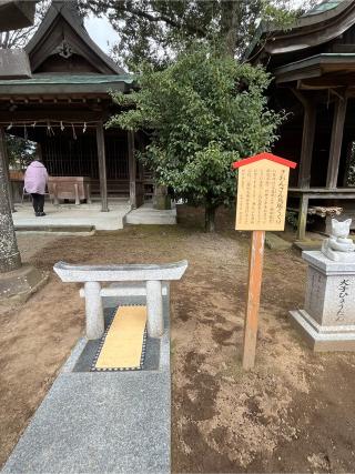 八坂神社の参拝記録(みんきちさん)
