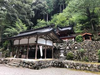 桜木神社の参拝記録(田中さん)