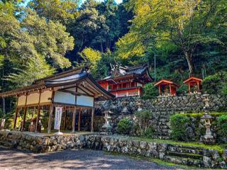 桜木神社の参拝記録(秀さん)