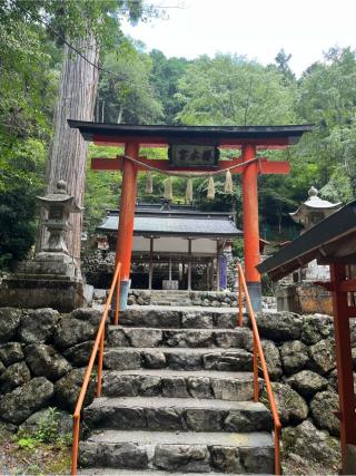 桜木神社の参拝記録(まきちゃんさん)