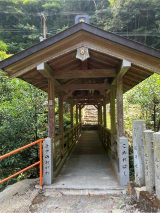 桜木神社の参拝記録(まきちゃんさん)