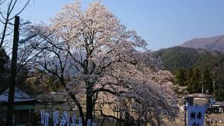 今村山 淡墨観音堂の参拝記録(亜子さん)